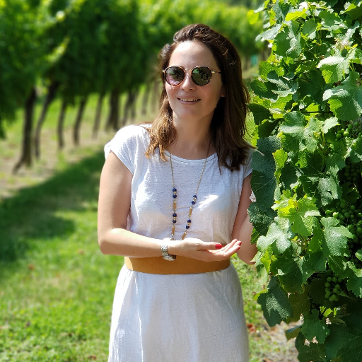MagnoVino es la cita incontestable, en ella encontraremos exclusivos productores internacionales de vinos, licores, turismo, gourmets. Organiza @tresorsdumonde_