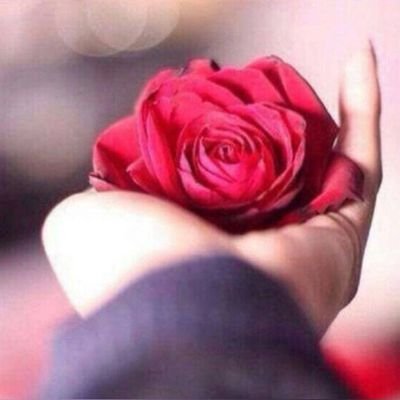 RoroRamzi1's profile picture. 