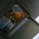 Fran Dixon - @FrannJayy - Twitter