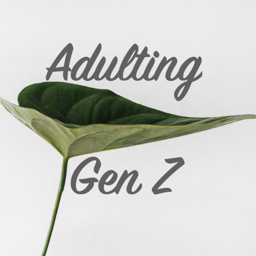We are a blog discussing the corporate and realistic side of generation z adulthood. DM for with any inquiries