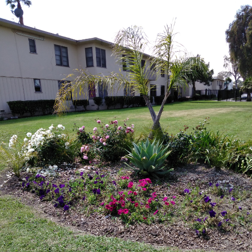 A Tenant Association dedicated to ensuring healthy & habitable homes, tenant rights education, community protection from outside interests, & neighborly support