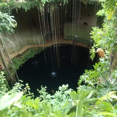 mebhey's profile picture. 