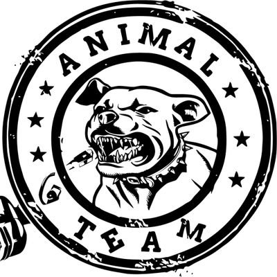 AnimalTeammusic Profile Picture