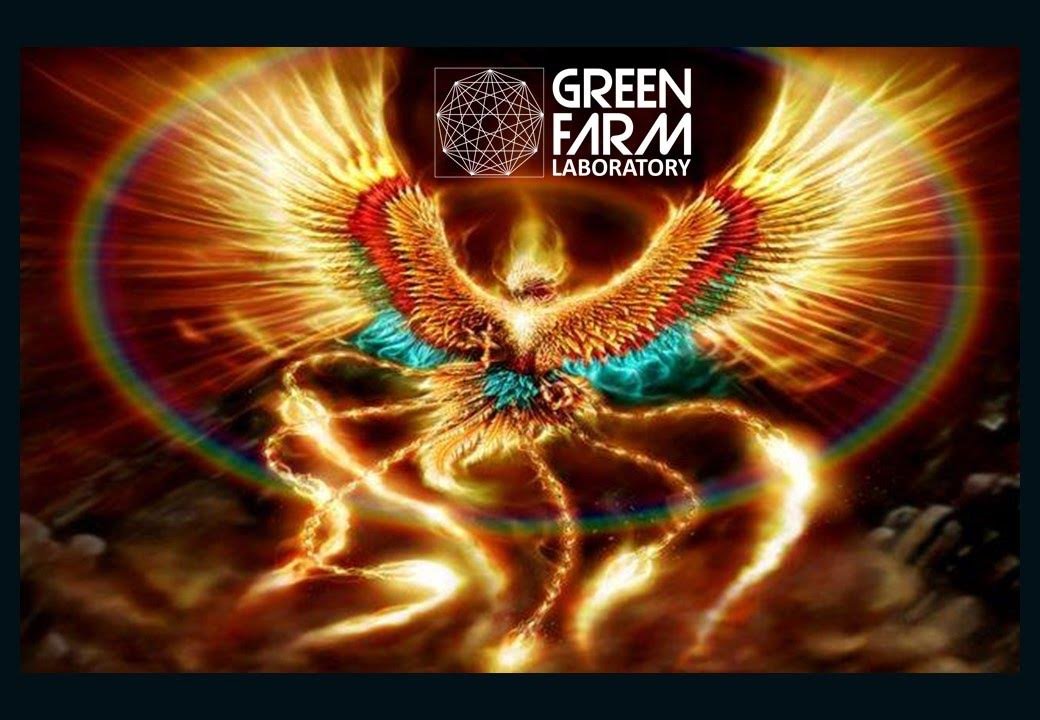 Preservation,Rehabilitation,Independence,Discipline,Education. PRIDE.🌏CIVILIZATION MODERNIZATION FOR FINANCIALLY DISADVANTAGED. WE DESIGN ENVIRO POWER STATIONS
