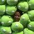 cvsantil's profile image