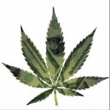 Cannabis Journal