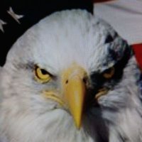 IIBLSS (@iiblss) 's Twitter Profile