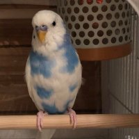 視瑛 (@10114473) Twitter profile photo