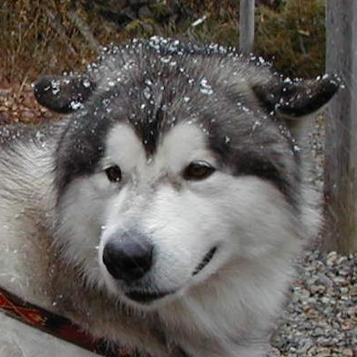 hiten09's profile picture. 趣味 ( ラジコン(水物主に軍艦1/100)、プラモデル(ガンプラ)、ゲーム(艦これなど)、旅行(車で) )のことでつぶやこうかなと思います。