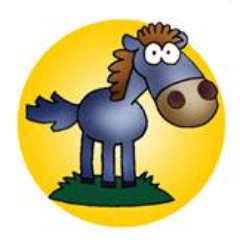 tackoftheday2's profile picture. New amazing new horse products every weekday at noon EST! Dirt cheap prices, super variety, so fun! First come, first served, don't wait.