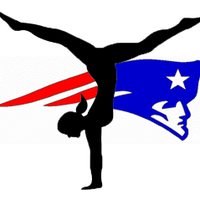 Park View Gymnastics(@PVGymnastics) 's Twitter Profile Photo