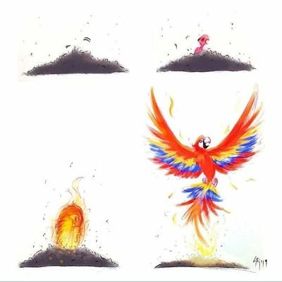 KINDIAK's profile picture. Venezolano, papa de Mathías y de Massimo, Vida con Derlys, siempre trata de sacar tu mejor version frente a cada reto.........🅰️🇻🇪🇺🇲