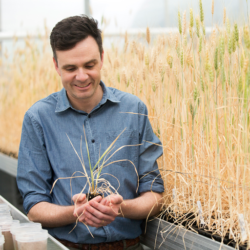 Professor at The University of Melbourne, Australia. Crop agronomy, crop physiology & farming systems research. Views are my own.