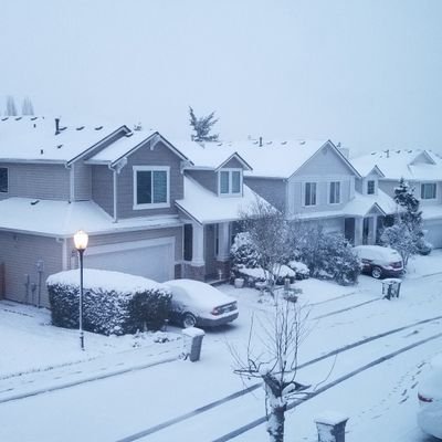 ddaman's profile picture. 