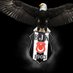 MURAT MURAT (@muratpaskal7676) Twitter profile photo MURAT MURAT (@muratpaskal7676) Twitter profile photo