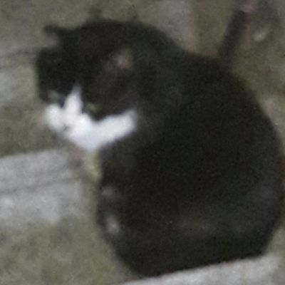 catcherry__'s profile picture. 언팔해주십쇼