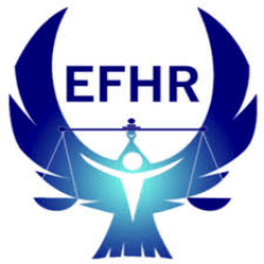 egyptian_front's profile picture. Egyptian Front is an independent organization working on improving the human rights situation in Egypt