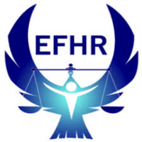 Egyptian Front for Human Rights (@egyptian_front) 's Twitter Profile Photo