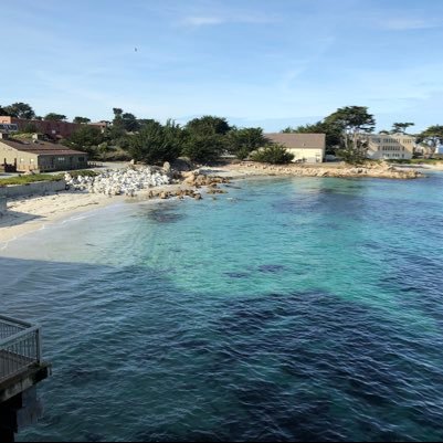 PingCui2's profile picture. 