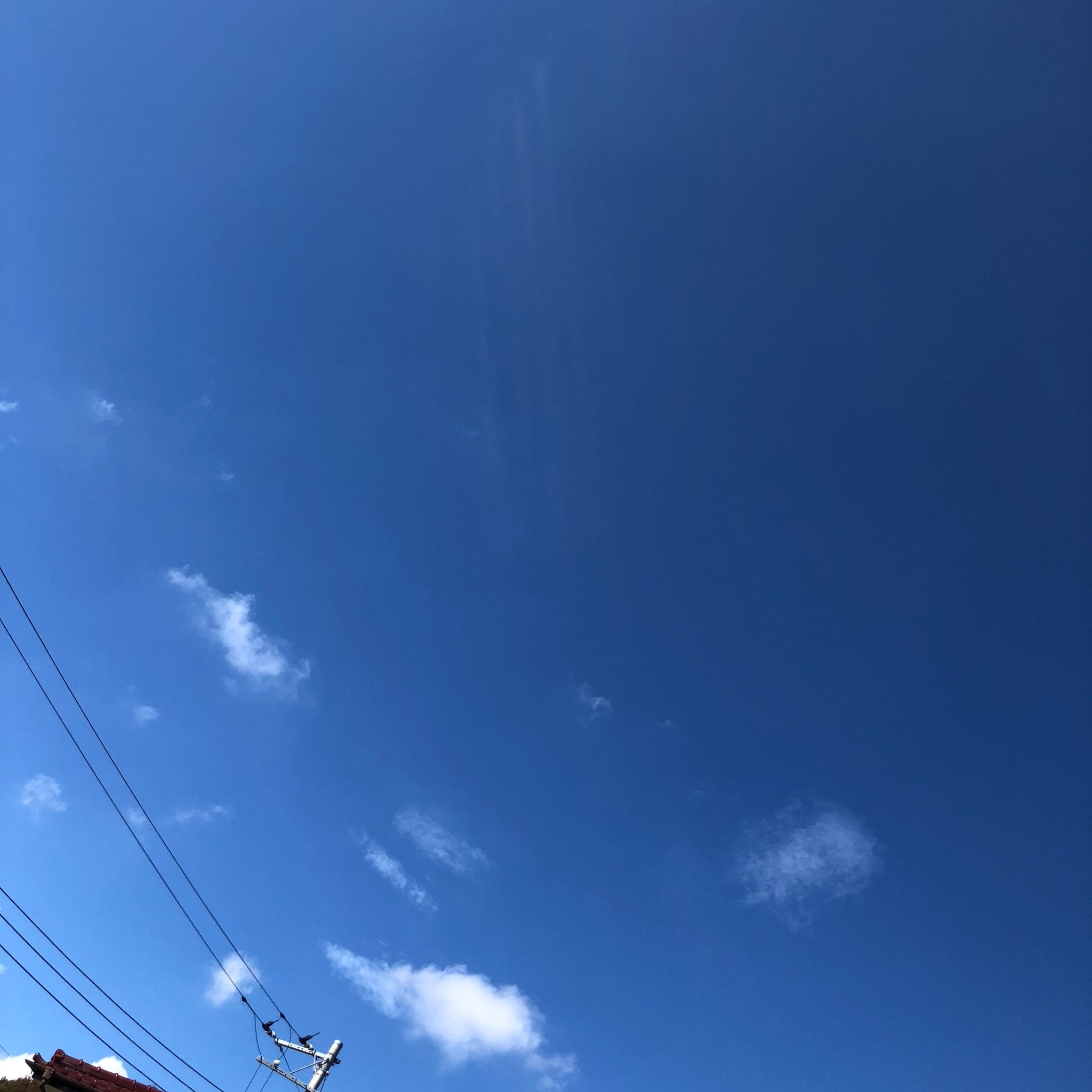 B91g2vOXdPssfpT's profile picture. ϵ( 'Θ' )϶