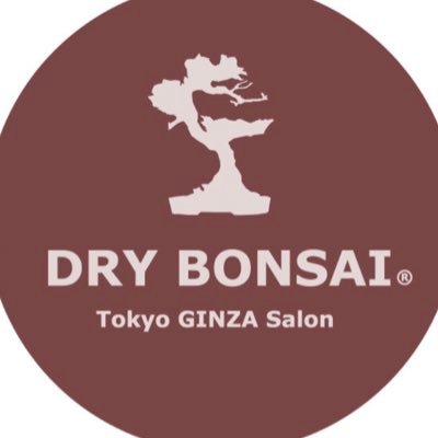 盆栽アート作家、藤田茂男氏の作品 「DRYBONSAI©」を展示しており、商談サロンとしてご利用をいただいております。ドライ盆栽は生の盆栽とは異なり、枝の剪定や水やり、鉢替えなどのメンテナンスが一切不要な新しいスタイルのアート作品です。東京銀座、京都サロンの各拠点で販売展開しております。