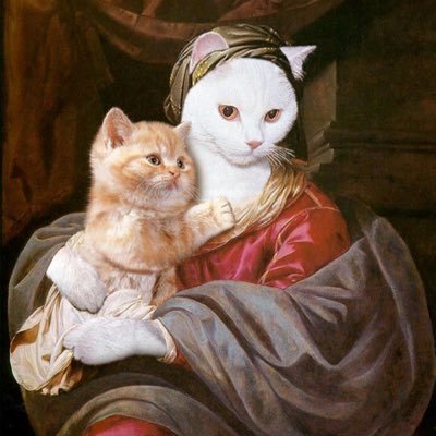 🐈🙇‍♀️🐈🙇‍♂️🐈