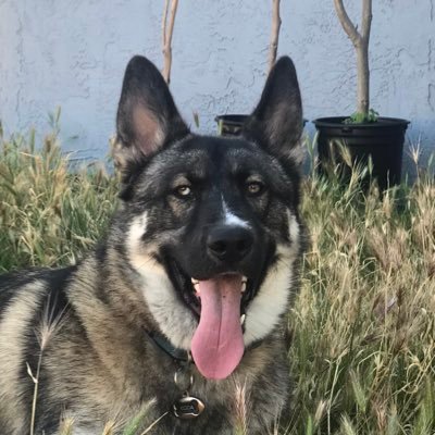 leannajean03's profile picture. old account follow @leannajean031