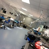 Hullsurgicalskills (@hullsuture) 's Twitter Profile