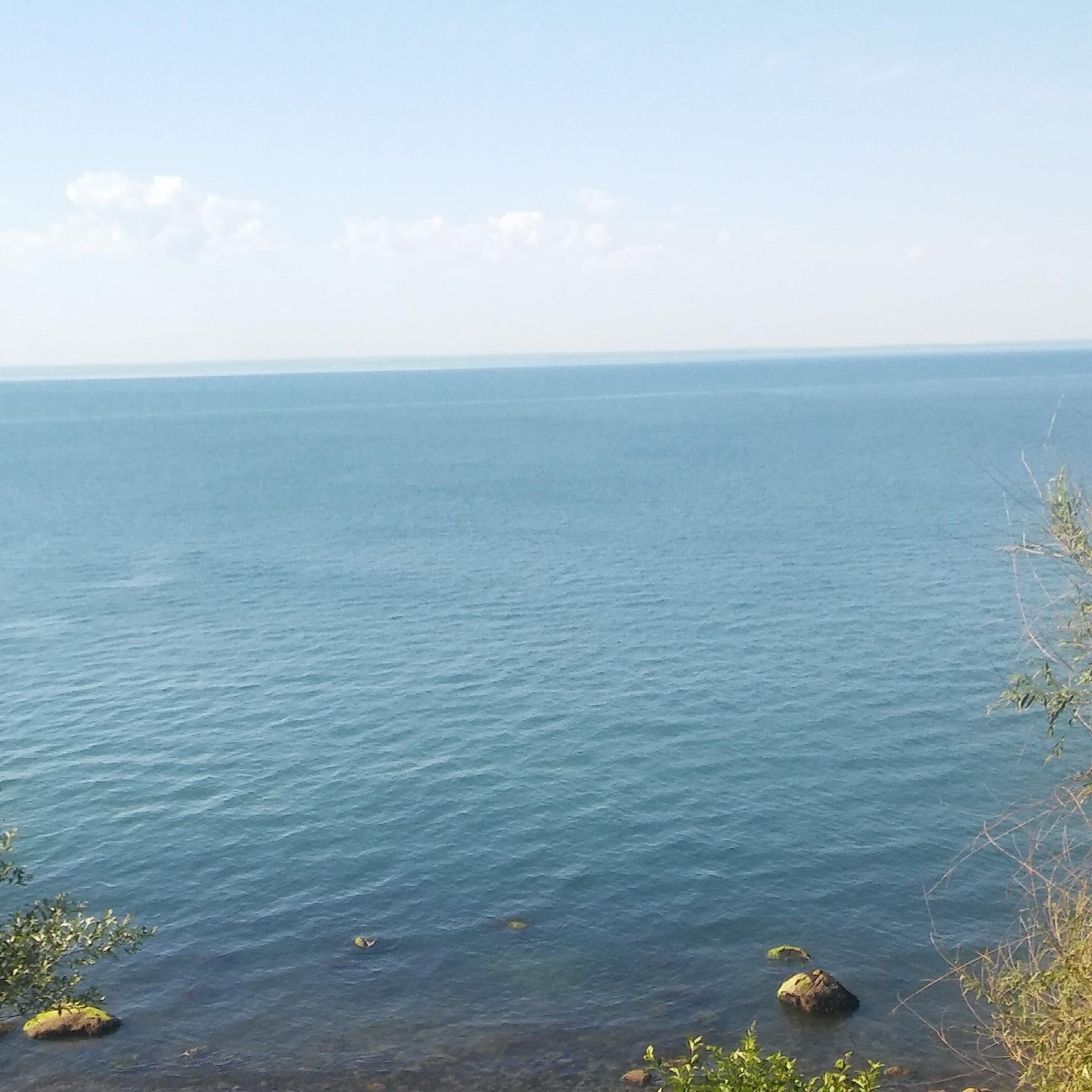 guido12758's profile picture. 