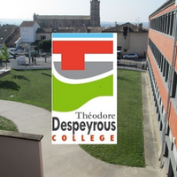 Collège Théodore Despeyrous(@Col_Despeyrous) 's Twitter Profile Photo