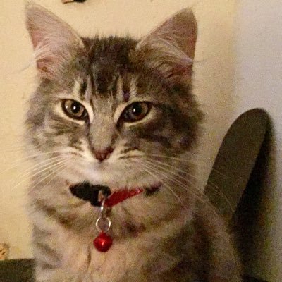 darek_bo's profile picture. 