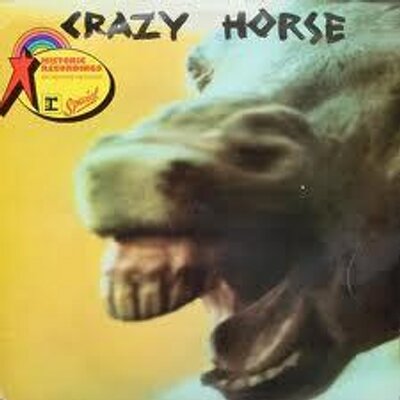 spacecrazyhorse's profile image