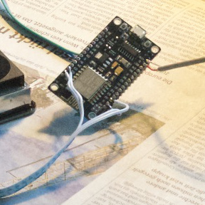 leverkusenerlu1's profile picture. 