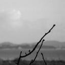 Daniel Andrea Choi - @choijongduk - Twitter