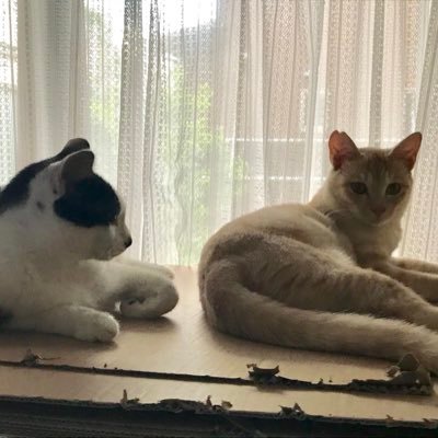 takajinomo0404's profile picture. 