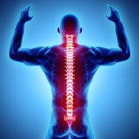 Scott Walker (@swstherapy5) 's Twitter Profile Photo Scott Walker (@swstherapy5) 's Twitter Profile Photo