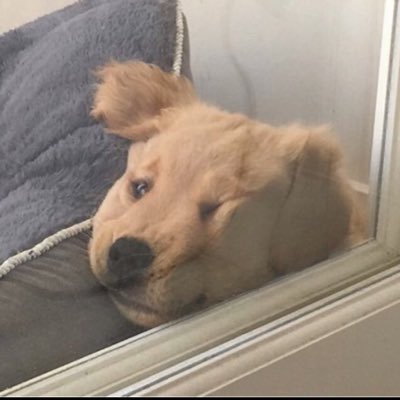 pstm718's profile picture. always my fortune,my best memories, my love and my shiny boys. ❤️ @realjonghyun90 @skehehdanfdldi @SHINee