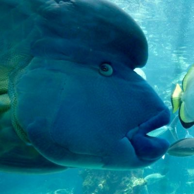 KYSDさんのプロフィール画像