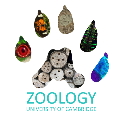 News and events from the Department of Zoology @Cambridge_Uni