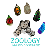 Dept of Zoology(@CamZoology) 's Twitter Profile Photo