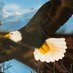 CBDoyleElem (@cbdoyleelem) Twitter profile photo CBDoyleElem (@cbdoyleelem) Twitter profile photo