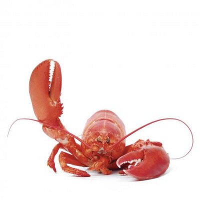 FfmGehtAus's profile image