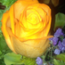 SuzyCompton (@suzycompton2) Twitter profile photo SuzyCompton (@suzycompton2) Twitter profile photo