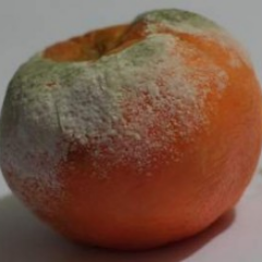 CPourrie's profile picture. Victimes de la compta en ligne bourrée de pépins
Recenser votre cas pour agir ensemble : https://t.co/cqvl8SfCt4