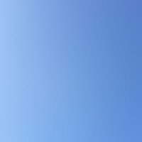 track_only (@track_only) 's Twitter Profile