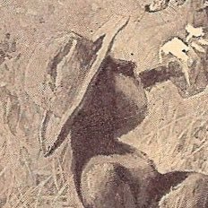 kapeting's profile picture. 