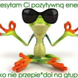 JZasadniczy's profile picture. Chętnie dowiem się czegoś ważnego. Nawet douczę się jeśli dobrze podane. Nie akceptuję bzdetów i tępię "śmieciarzy"