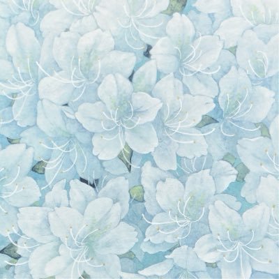 TOMODA Erikoさんのプロフィール画像