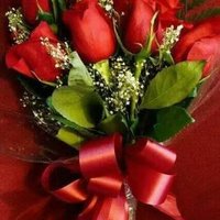 صدام علي سلطان (@vjnh74bduzkierw) 's Twitter Profile