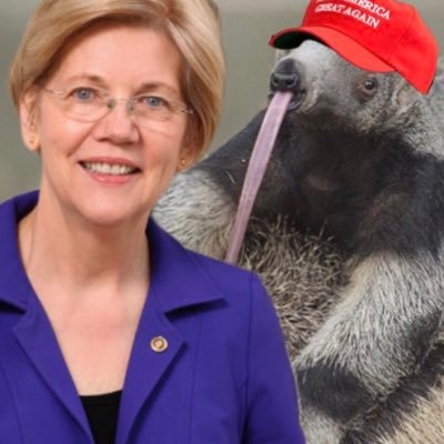 Official Beer of Elizabeth Warren #2020